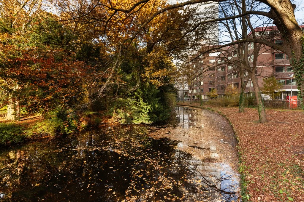 geblurde versie van de foto als achtergrond