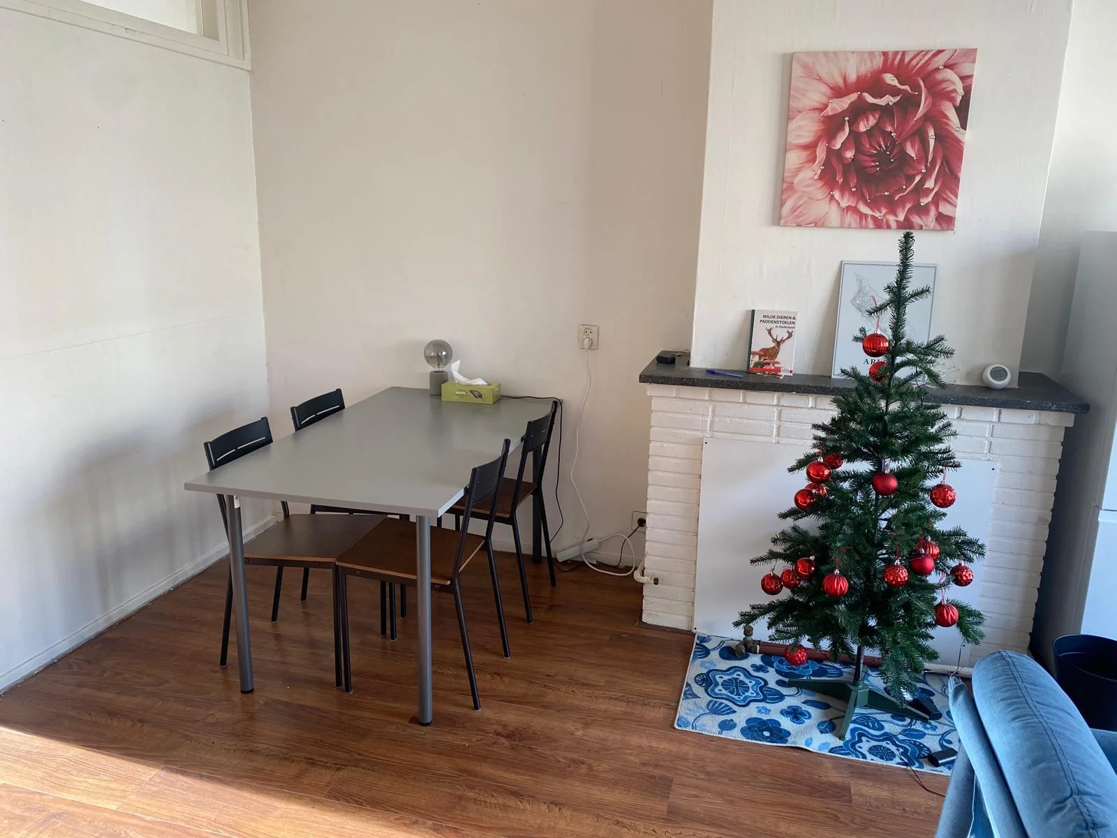 geblurde versie van de foto als achtergrond