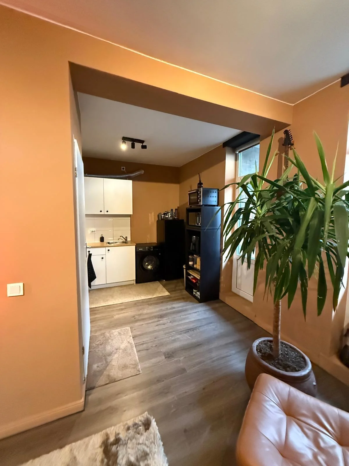 geblurde versie van de foto als achtergrond