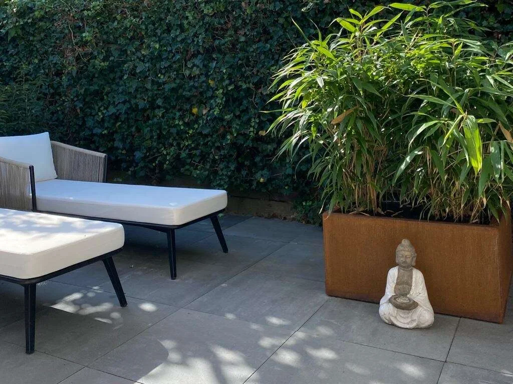 geblurde versie van de foto als achtergrond