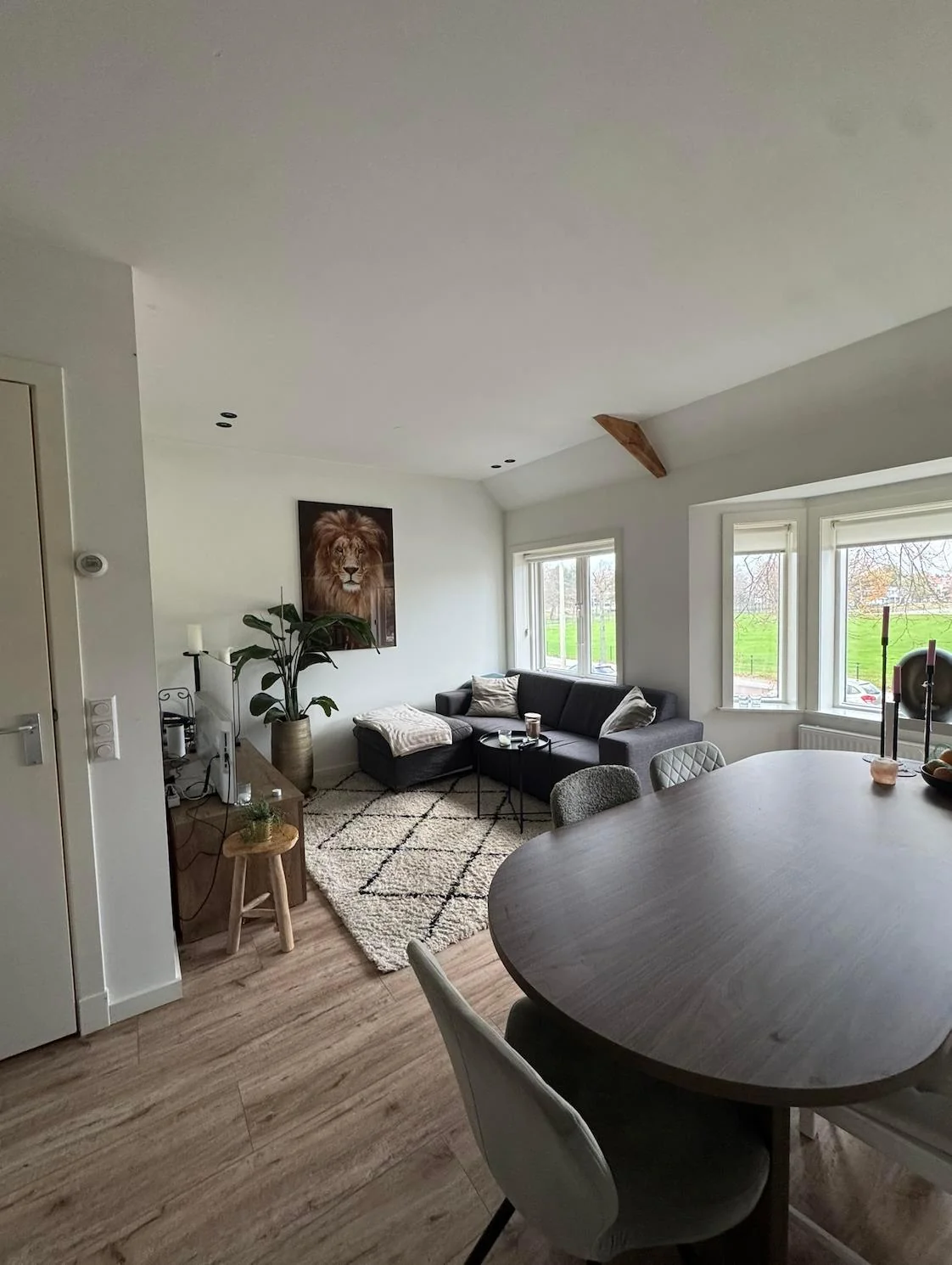 geblurde versie van de foto als achtergrond