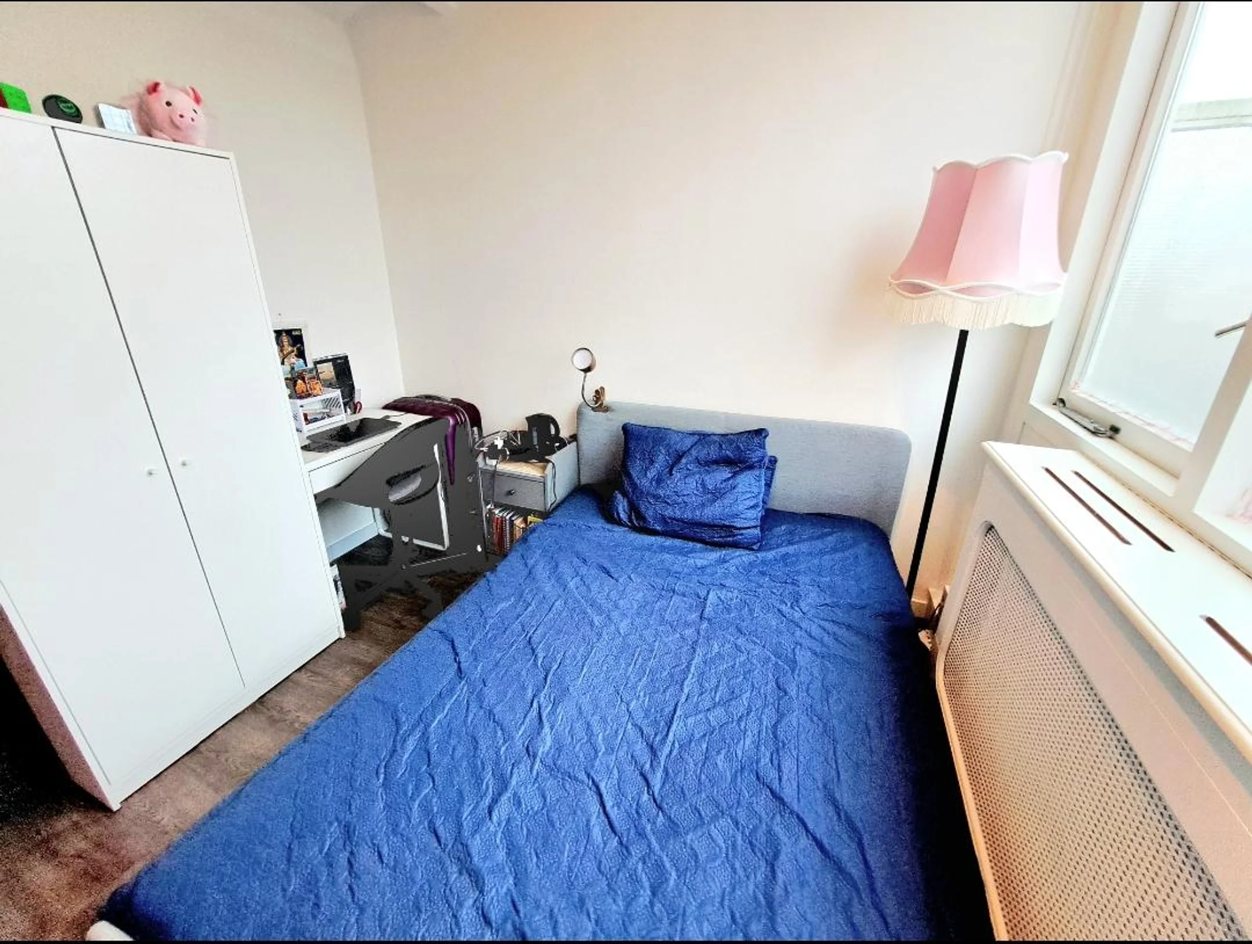 geblurde versie van de foto als achtergrond