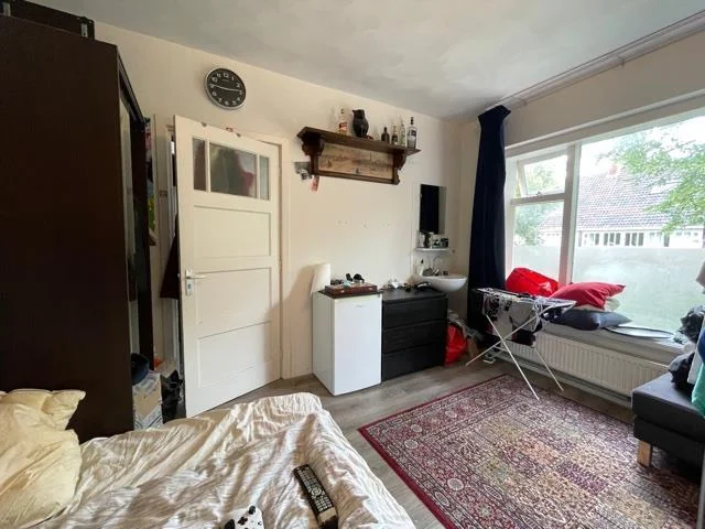 geblurde versie van de foto als achtergrond