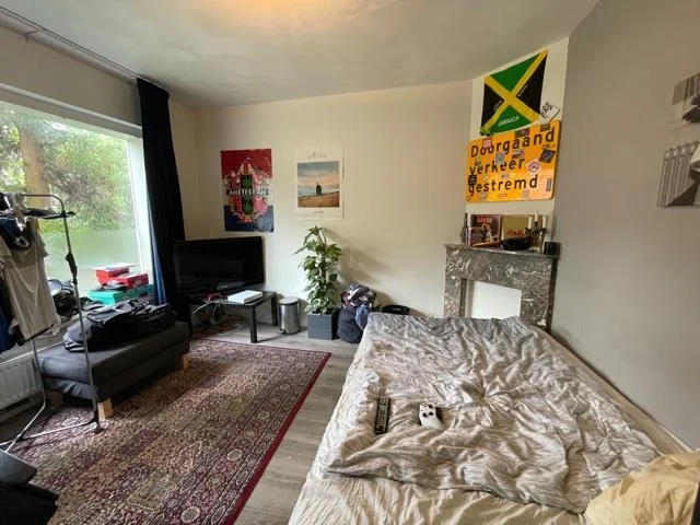 geblurde versie van de foto als achtergrond