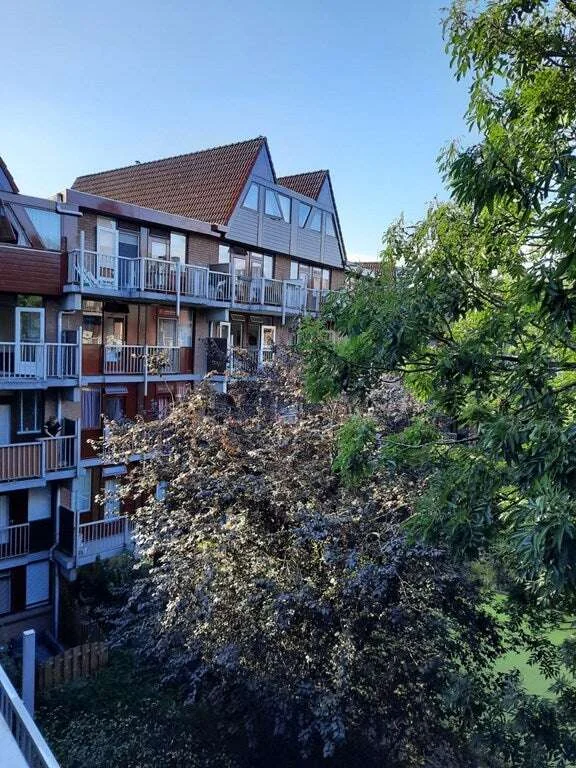 geblurde versie van de foto als achtergrond