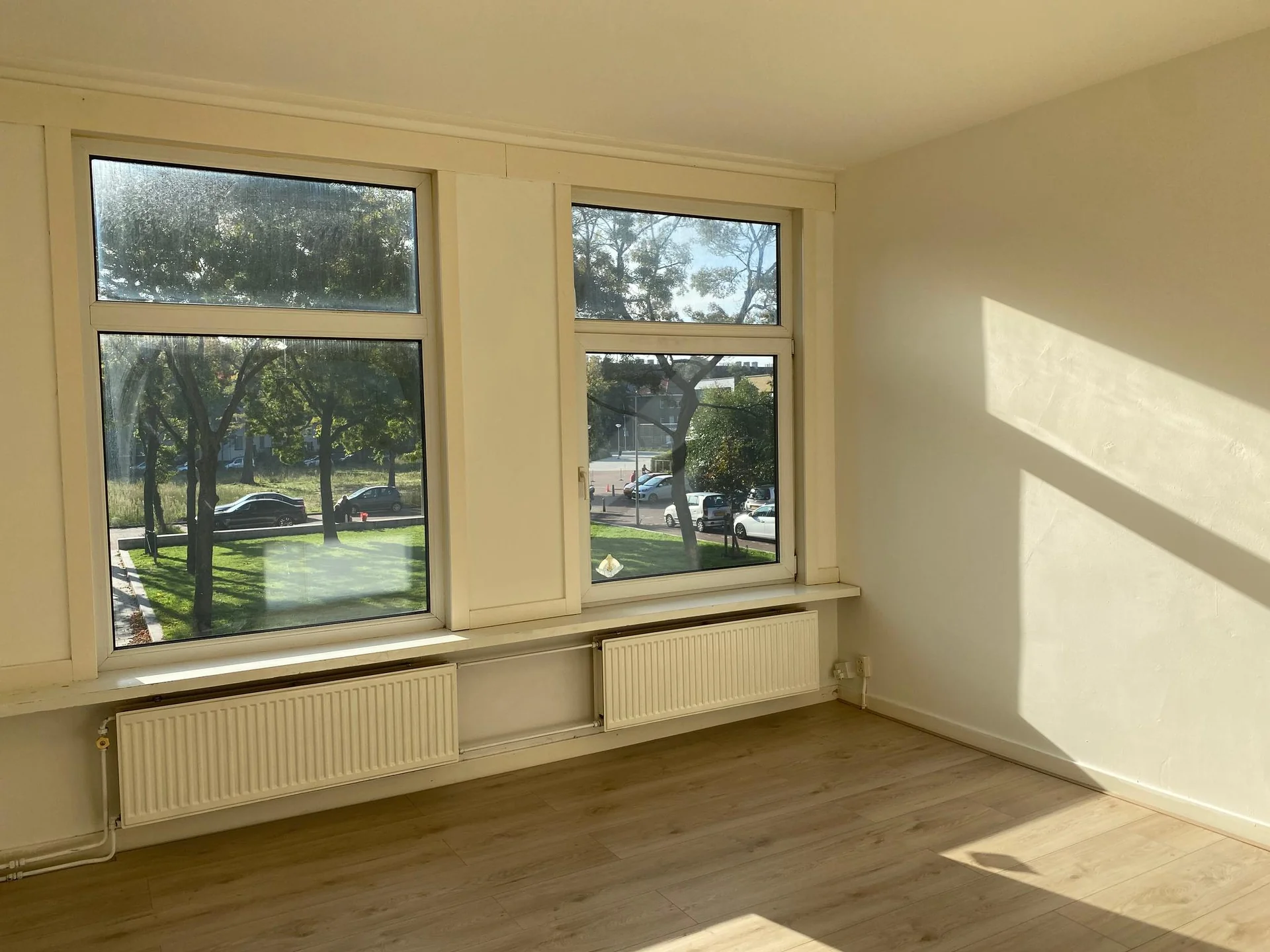 geblurde versie van de foto als achtergrond