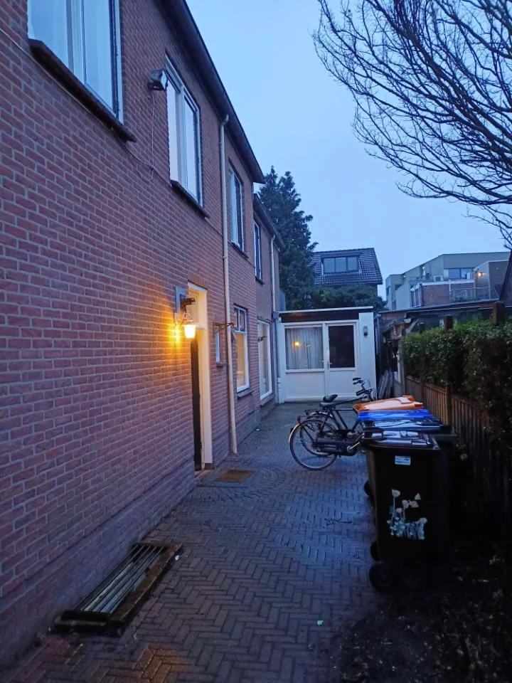 geblurde versie van de foto als achtergrond