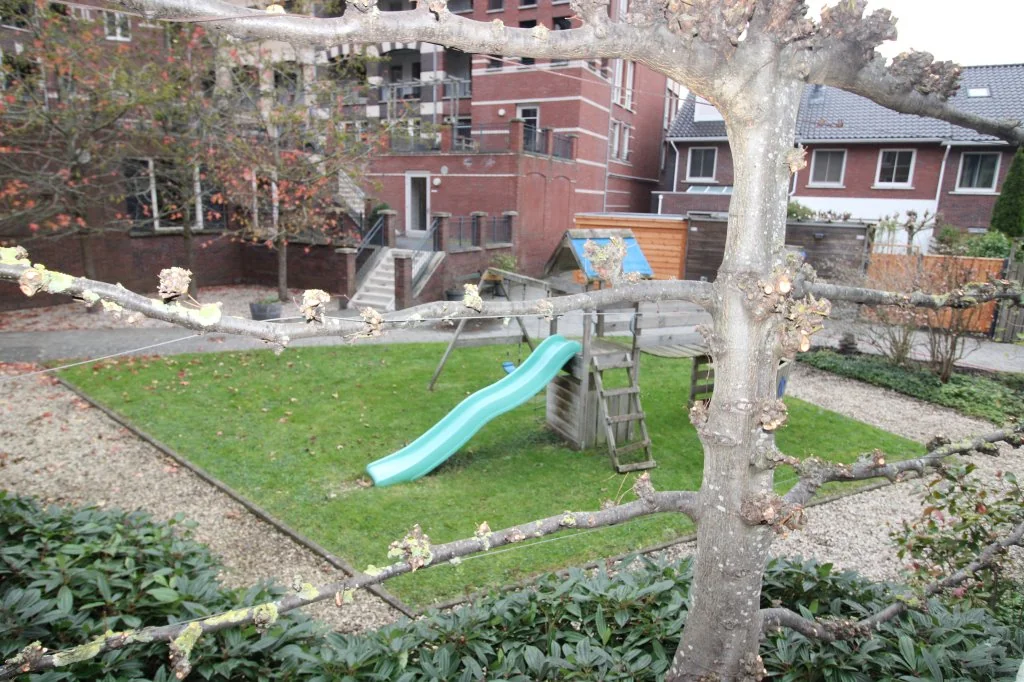 geblurde versie van de foto als achtergrond