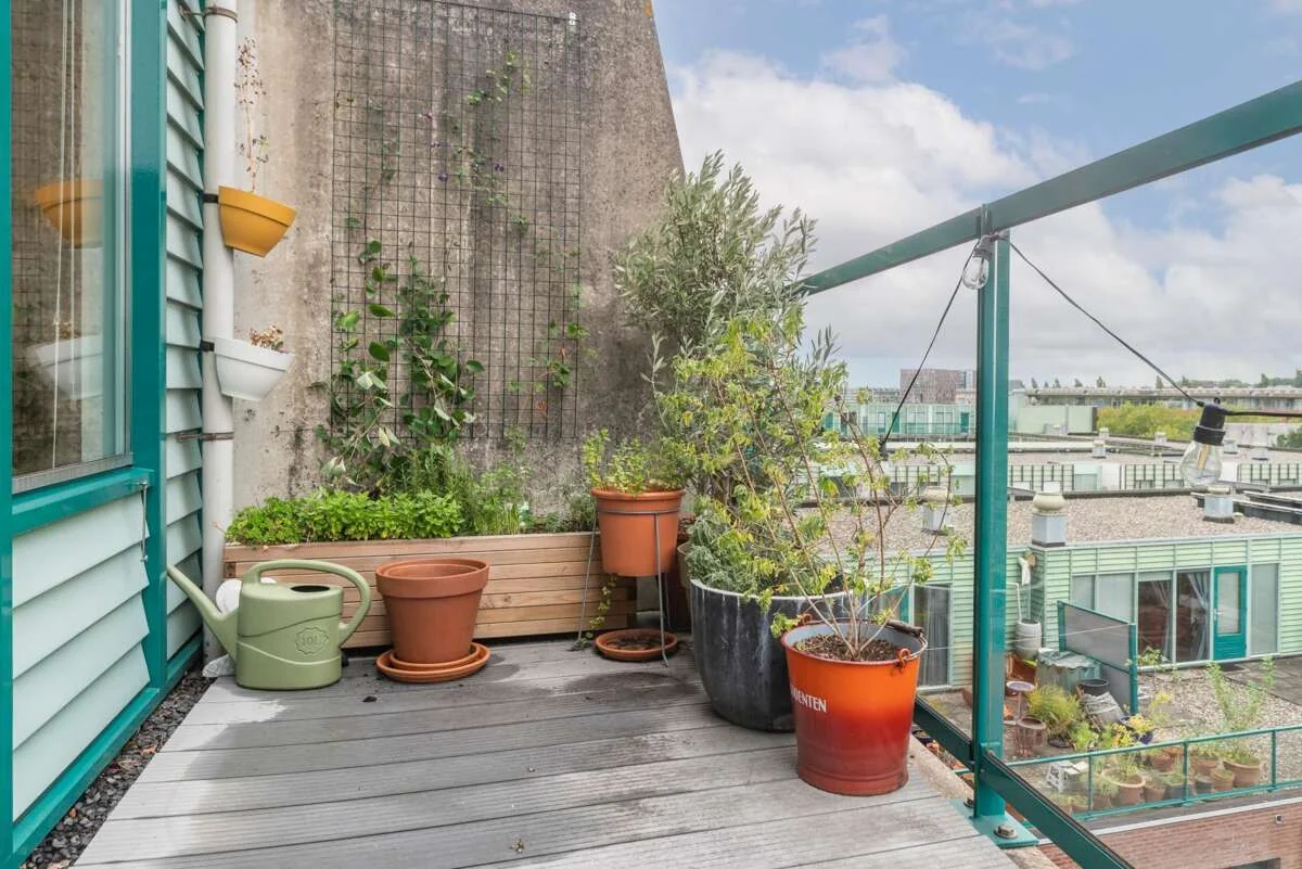 geblurde versie van de foto als achtergrond