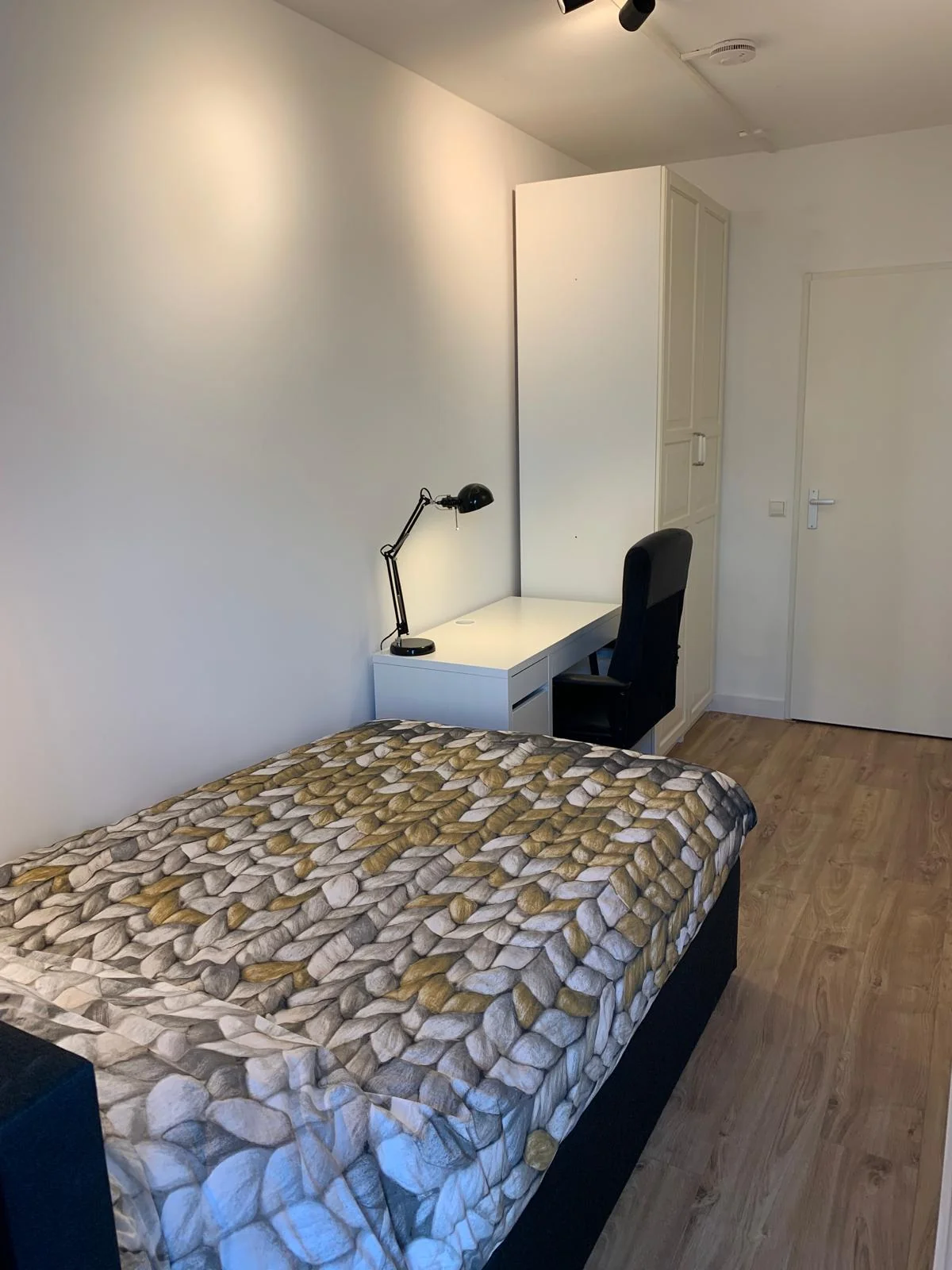 geblurde versie van de foto als achtergrond