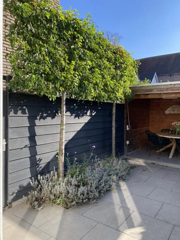 geblurde versie van de foto als achtergrond