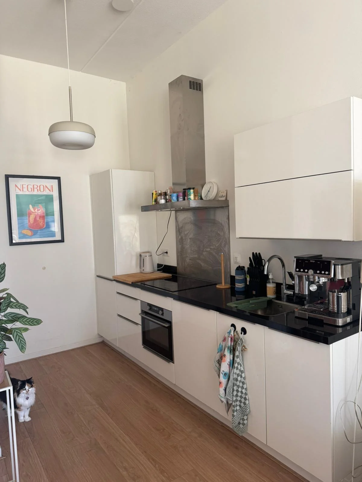 geblurde versie van de foto als achtergrond