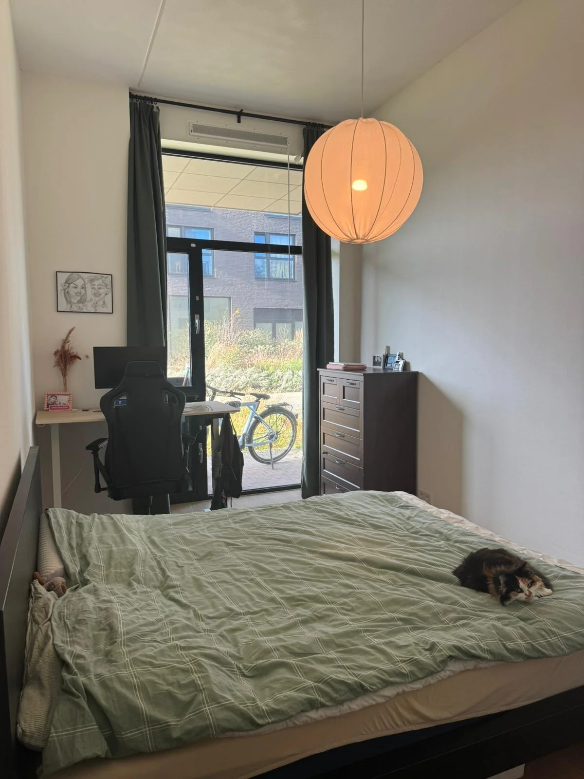 geblurde versie van de foto als achtergrond