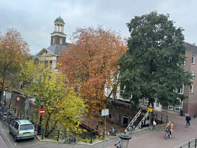 geblurde versie van de foto als achtergrond