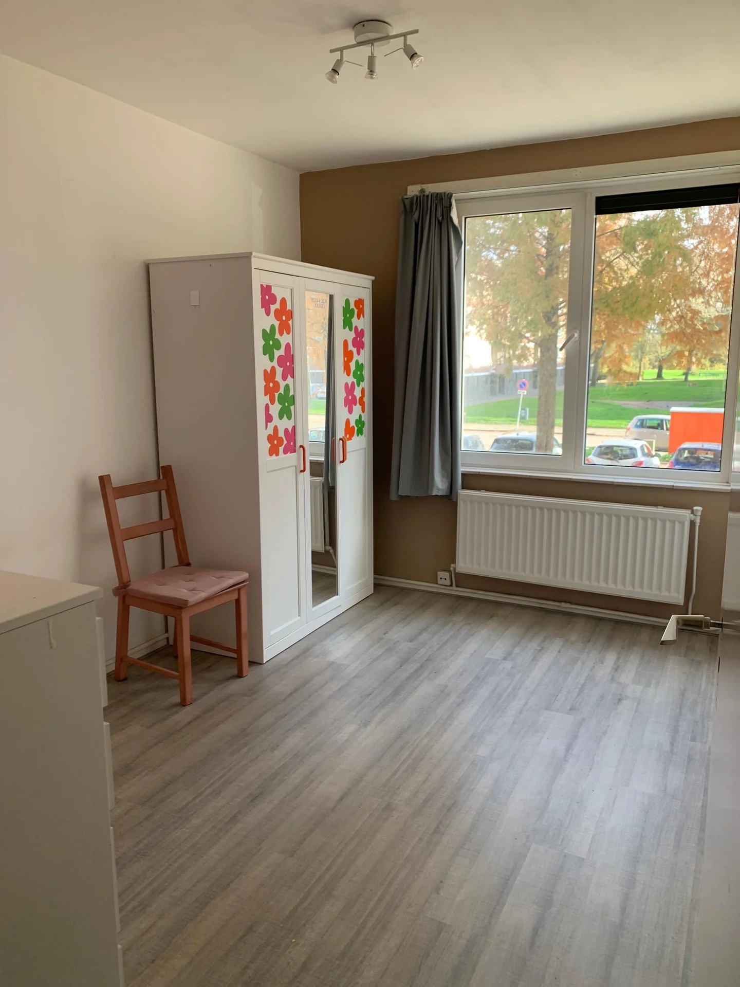 geblurde versie van de foto als achtergrond