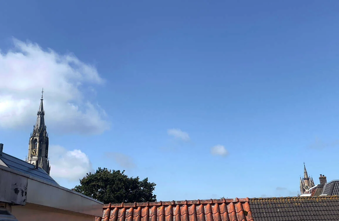 geblurde versie van de foto als achtergrond