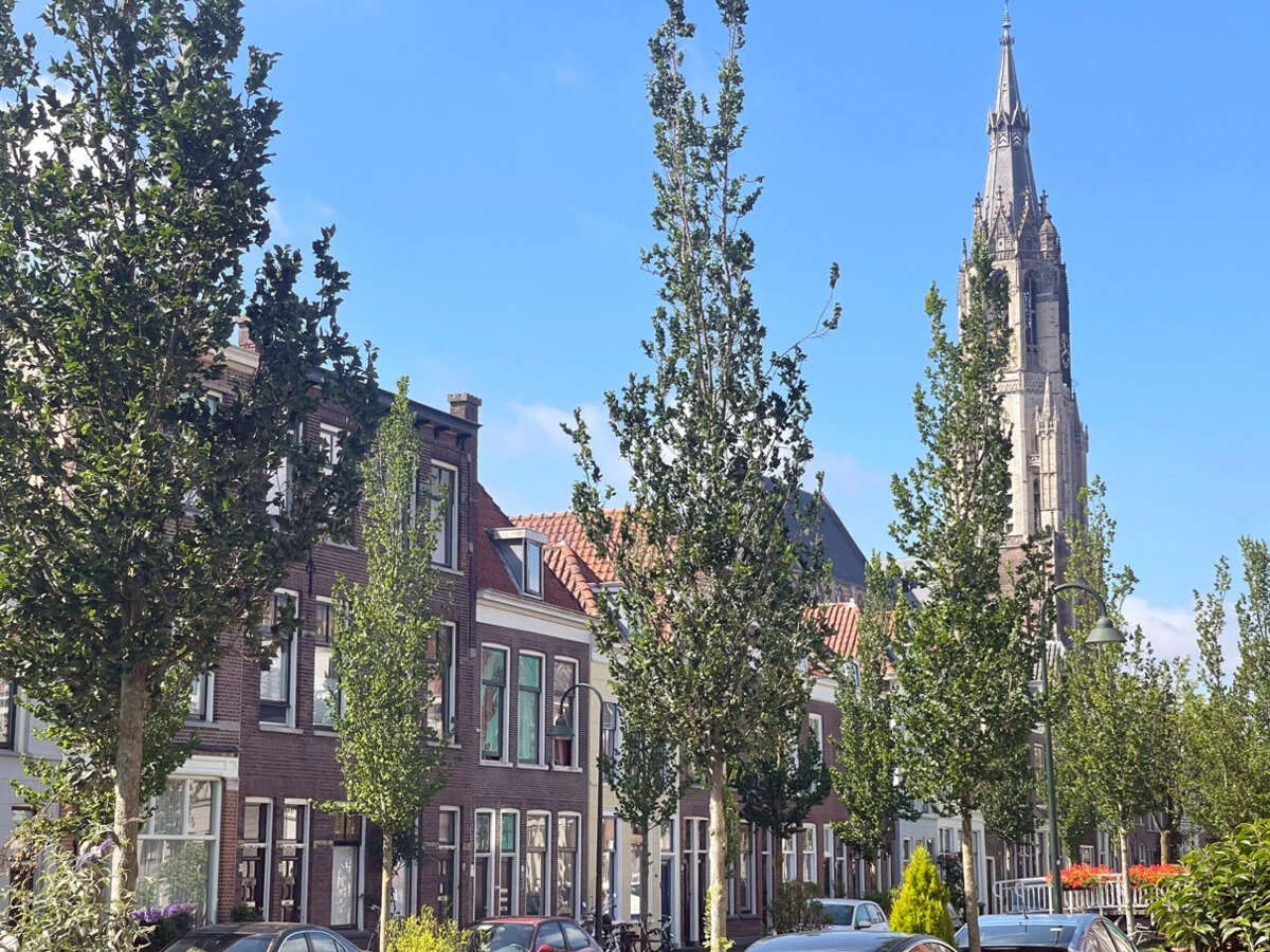 geblurde versie van de foto als achtergrond