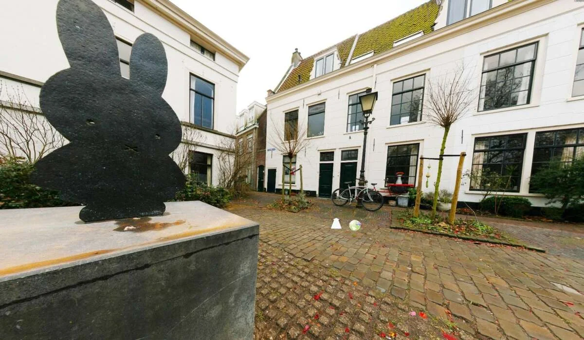 geblurde versie van de foto als achtergrond