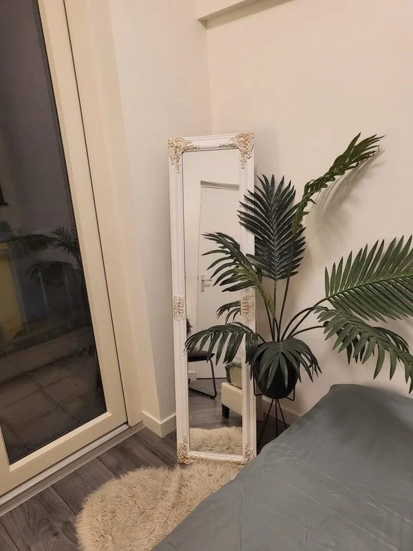 geblurde versie van de foto als achtergrond