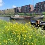 geblurde versie van de foto als achtergrond