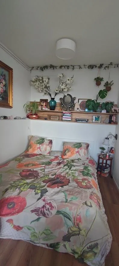 geblurde versie van de foto als achtergrond