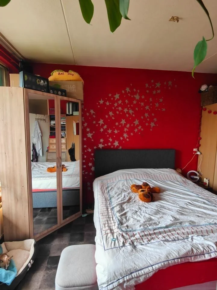 geblurde versie van de foto als achtergrond