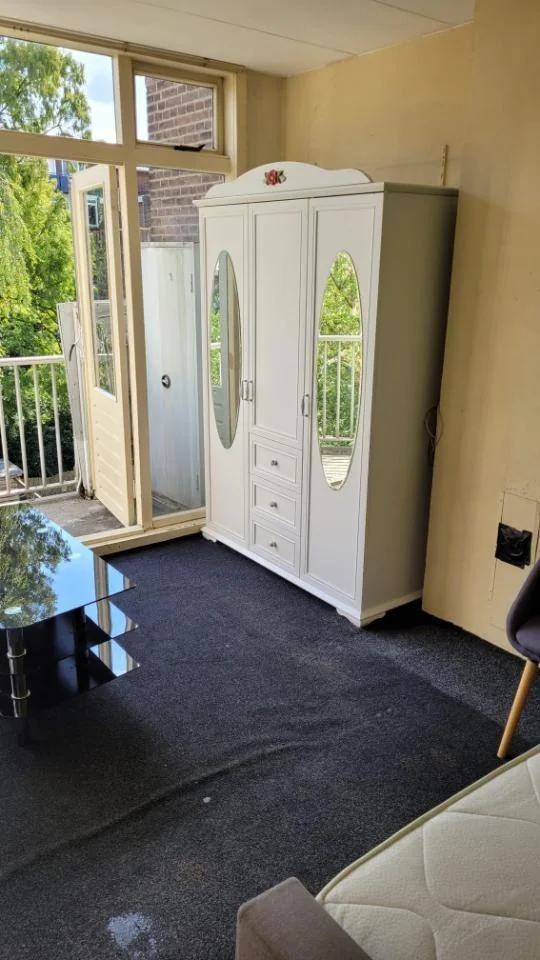 geblurde versie van de foto als achtergrond