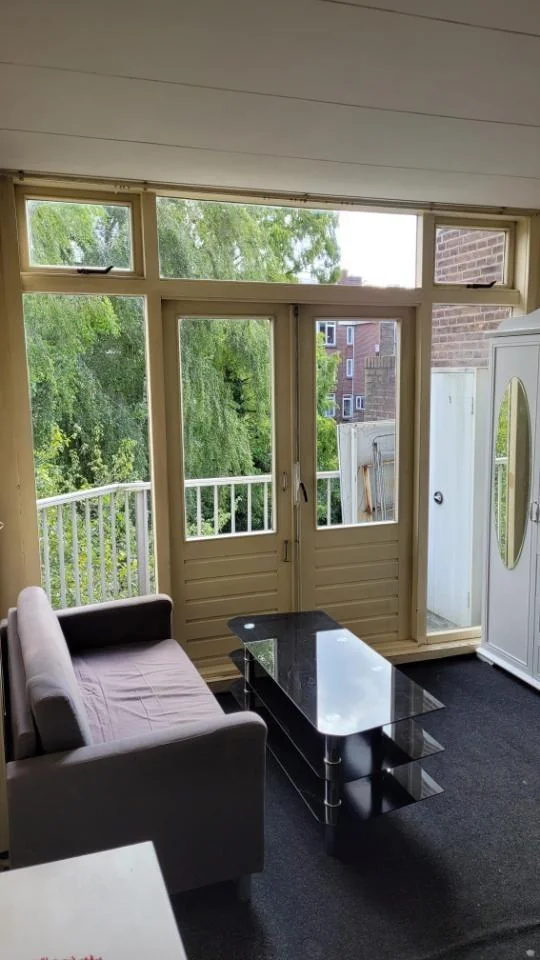 geblurde versie van de foto als achtergrond