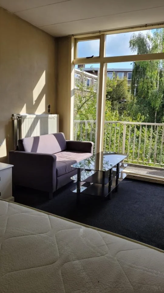 geblurde versie van de foto als achtergrond