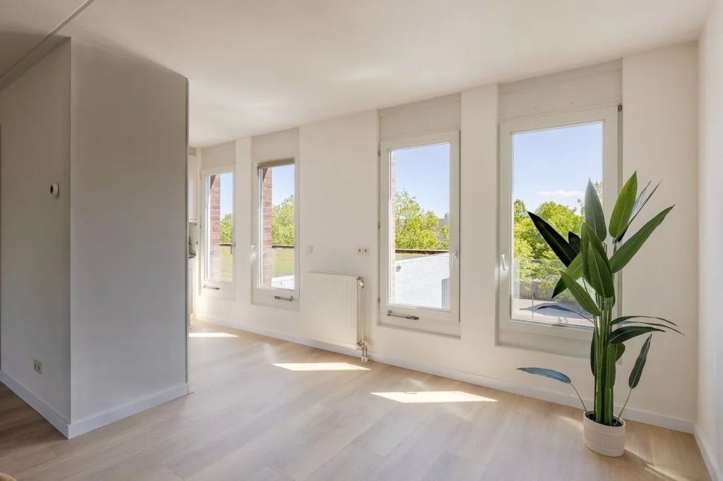 geblurde versie van de foto als achtergrond