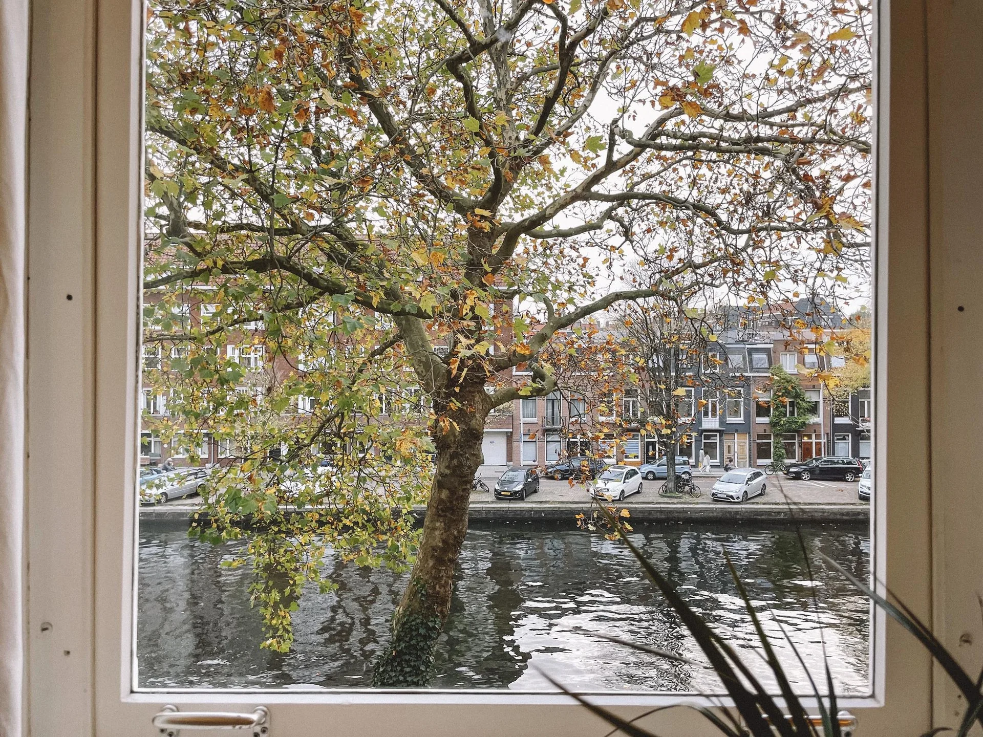 geblurde versie van de foto als achtergrond