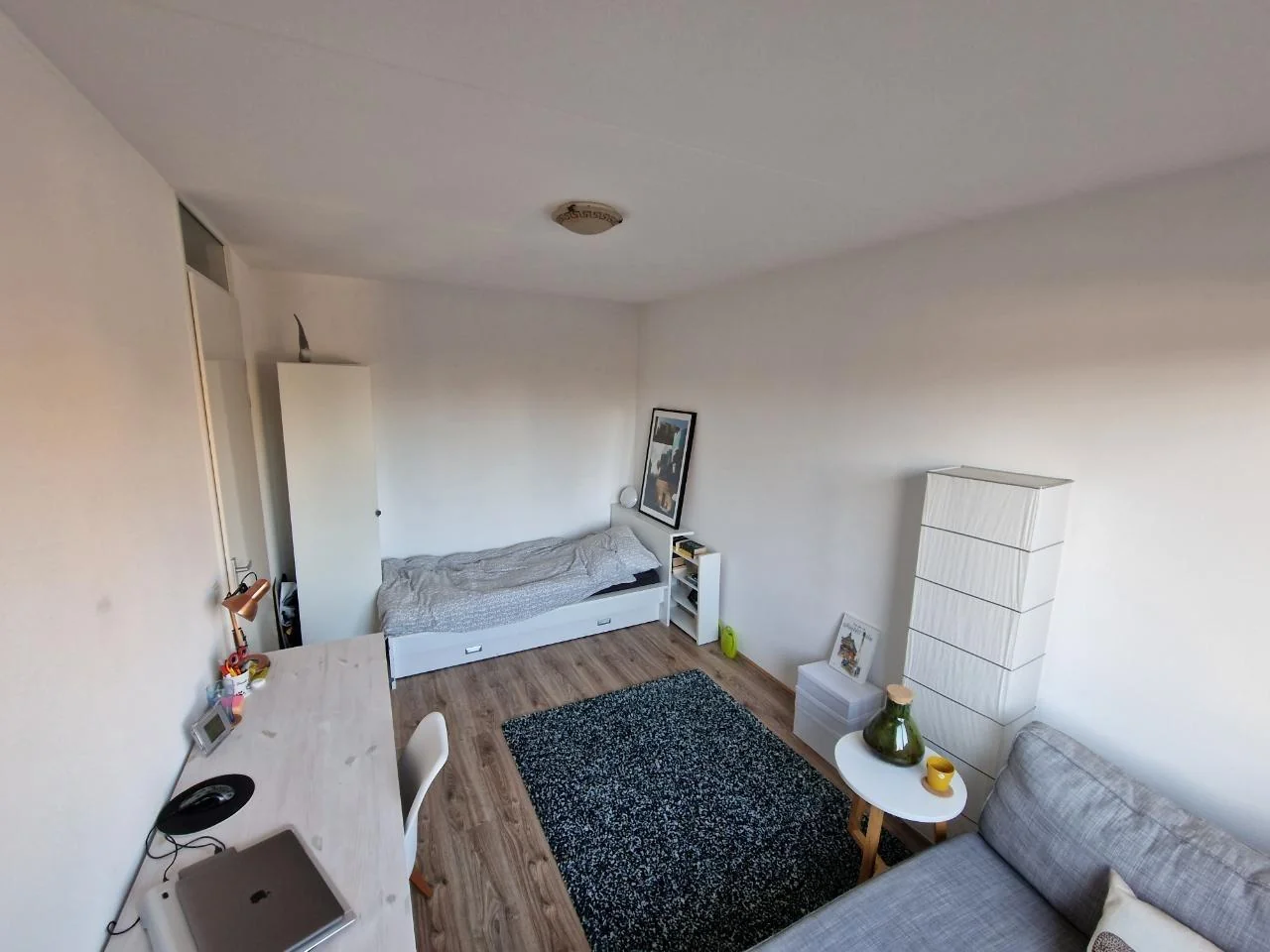 geblurde versie van de foto als achtergrond