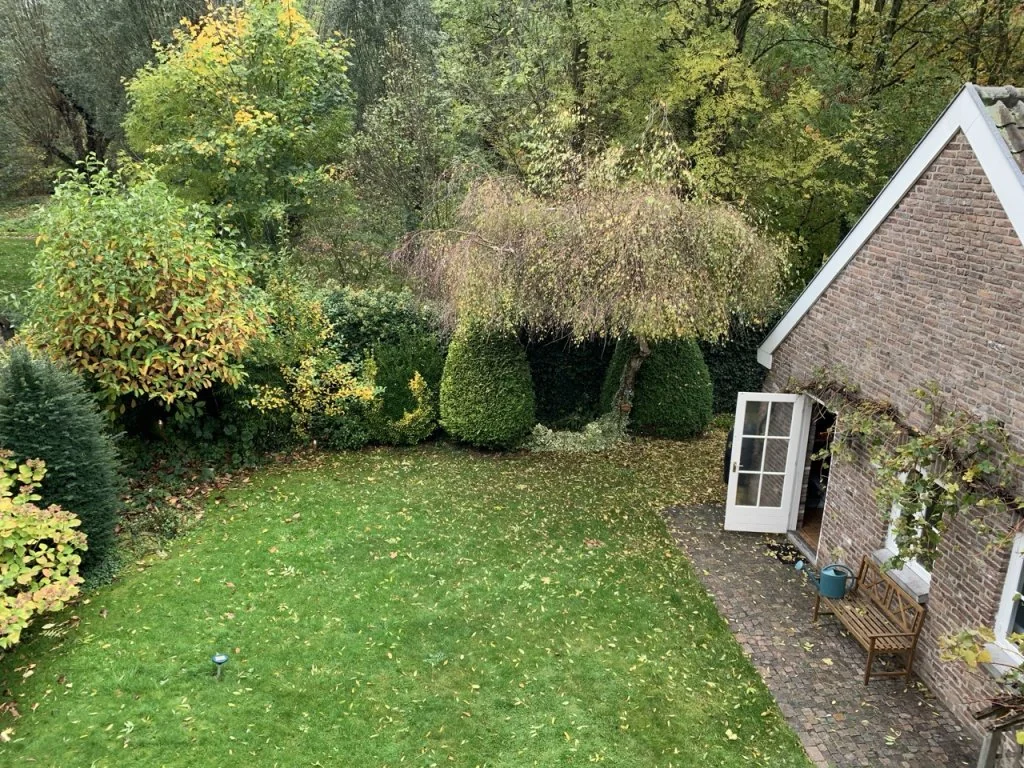 geblurde versie van de foto als achtergrond