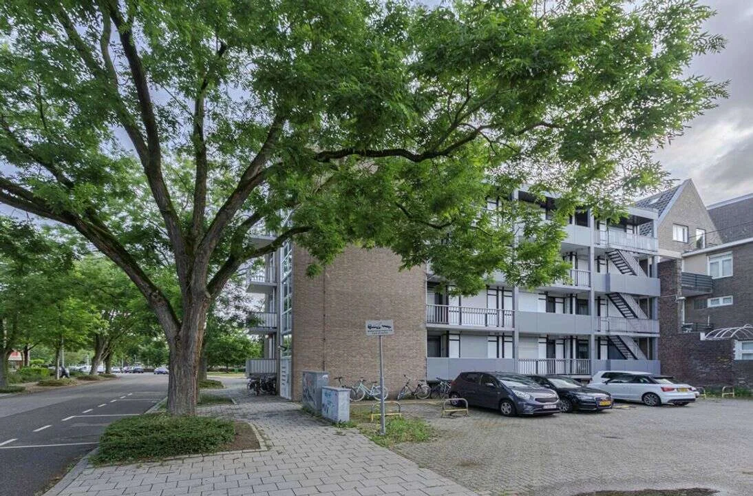 geblurde versie van de foto als achtergrond