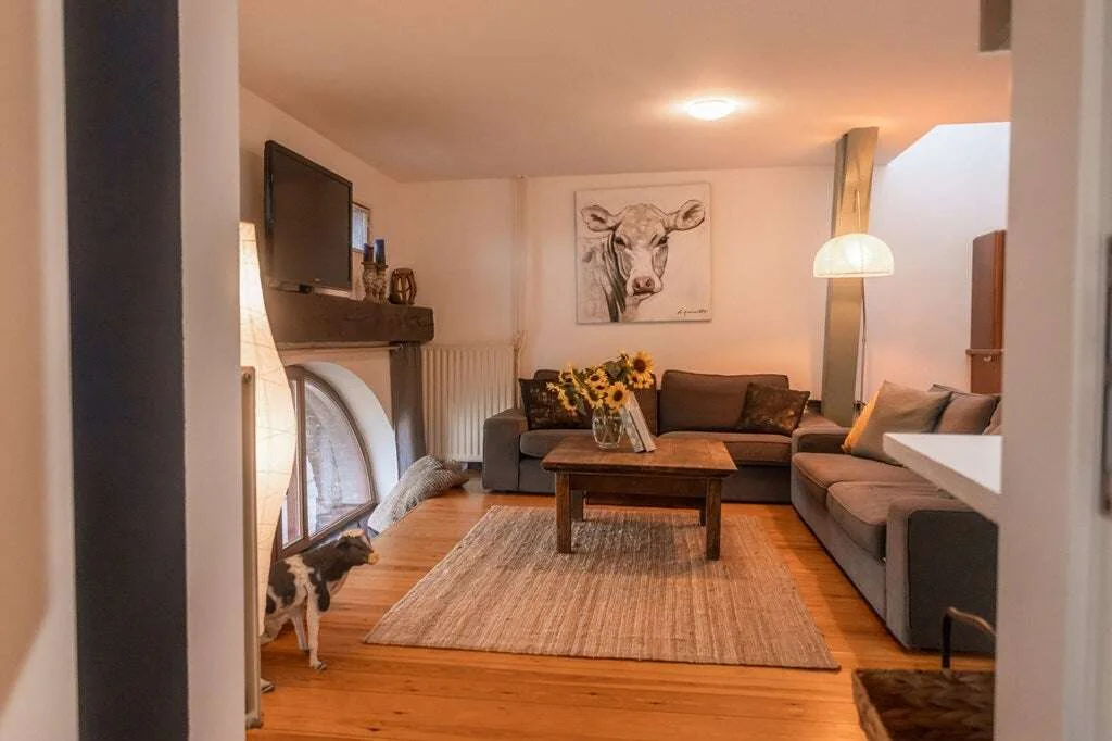 geblurde versie van de foto als achtergrond