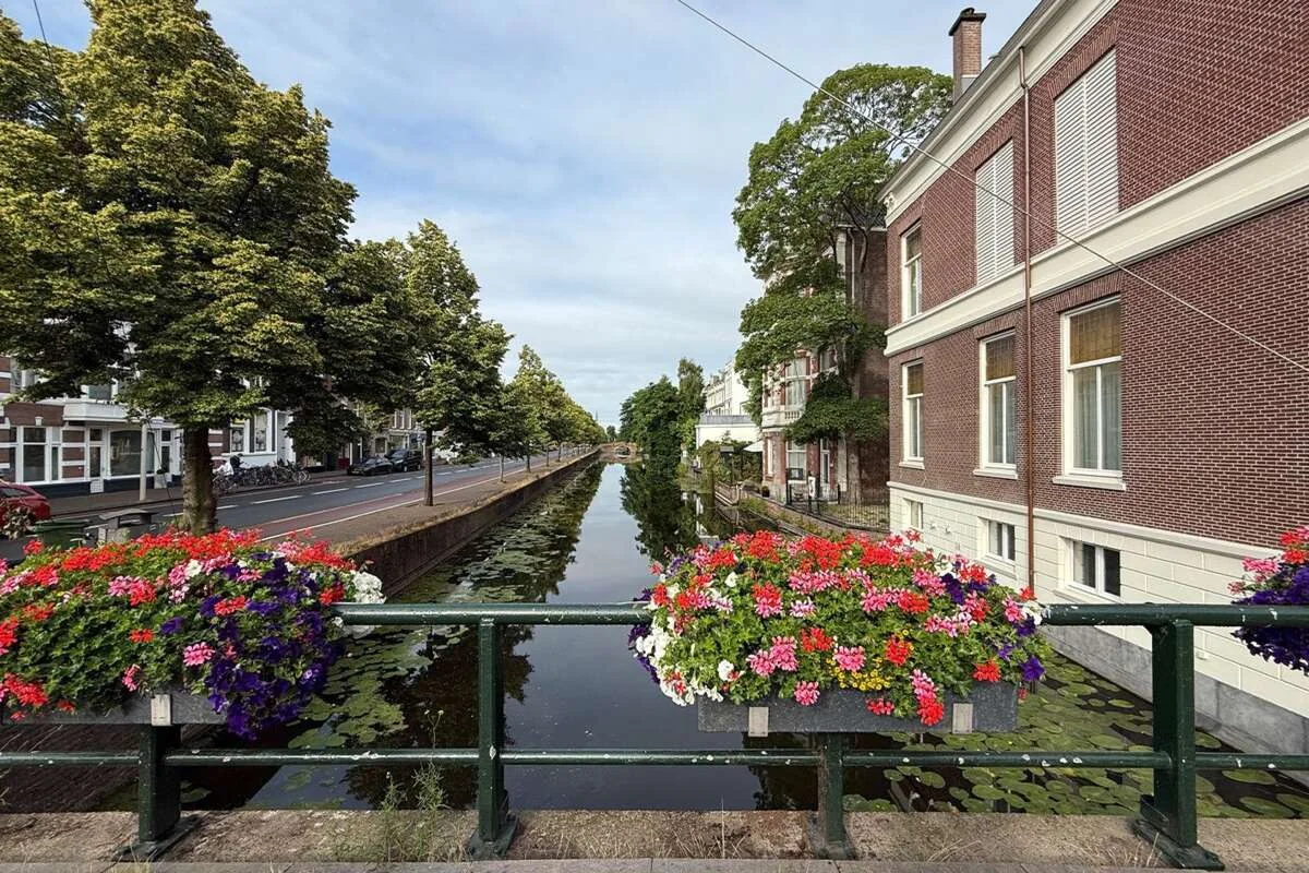 geblurde versie van de foto als achtergrond