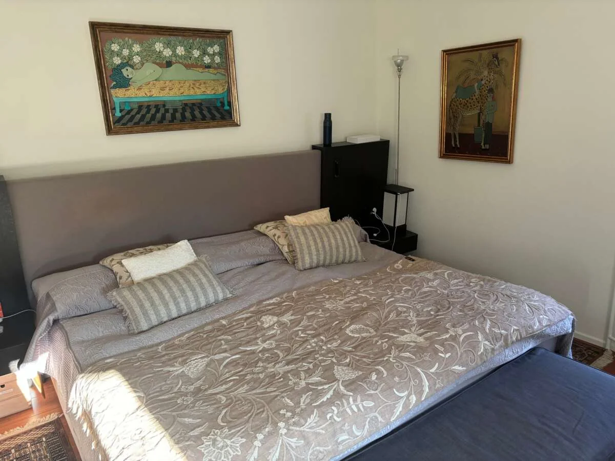 geblurde versie van de foto als achtergrond