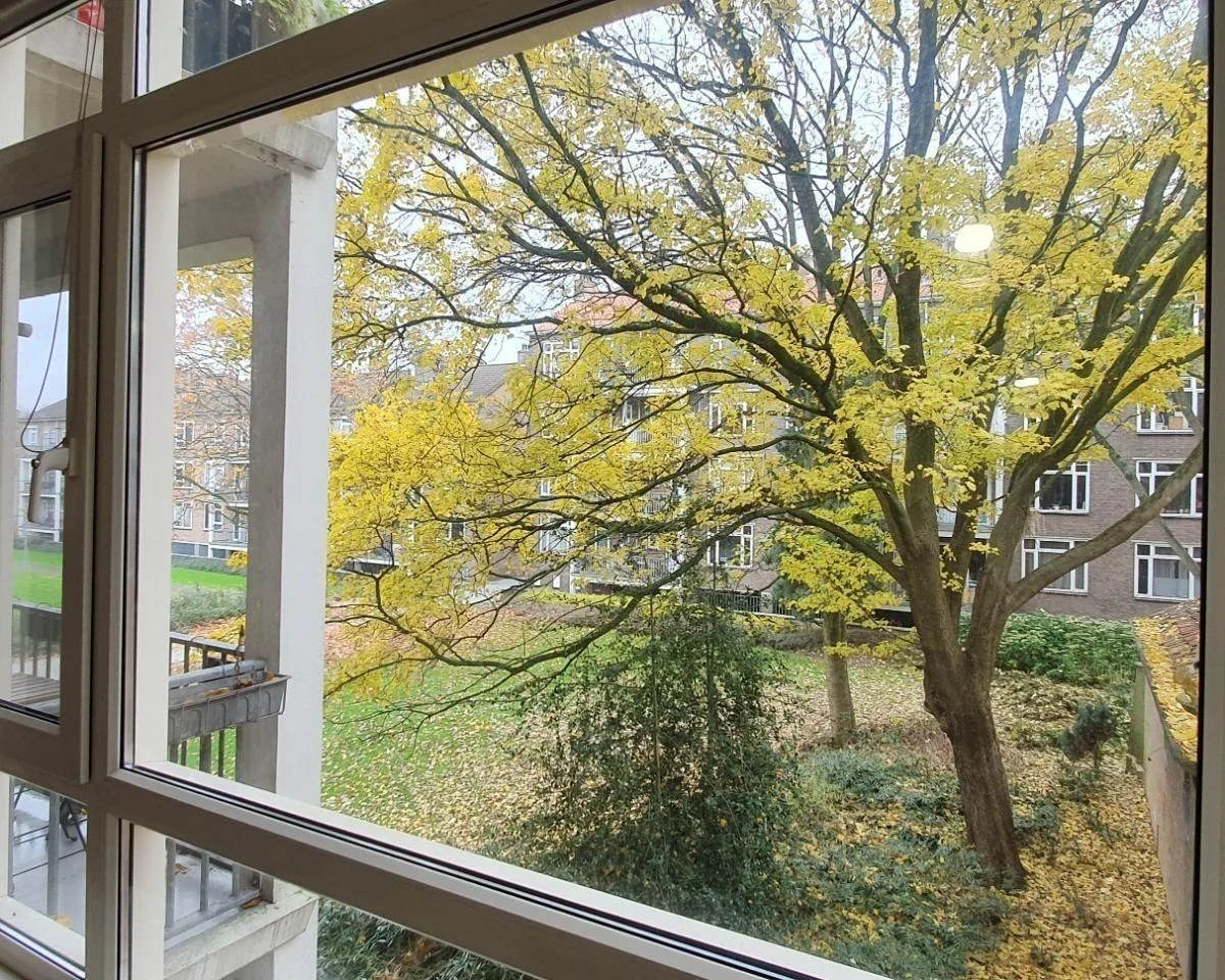 geblurde versie van de foto als achtergrond