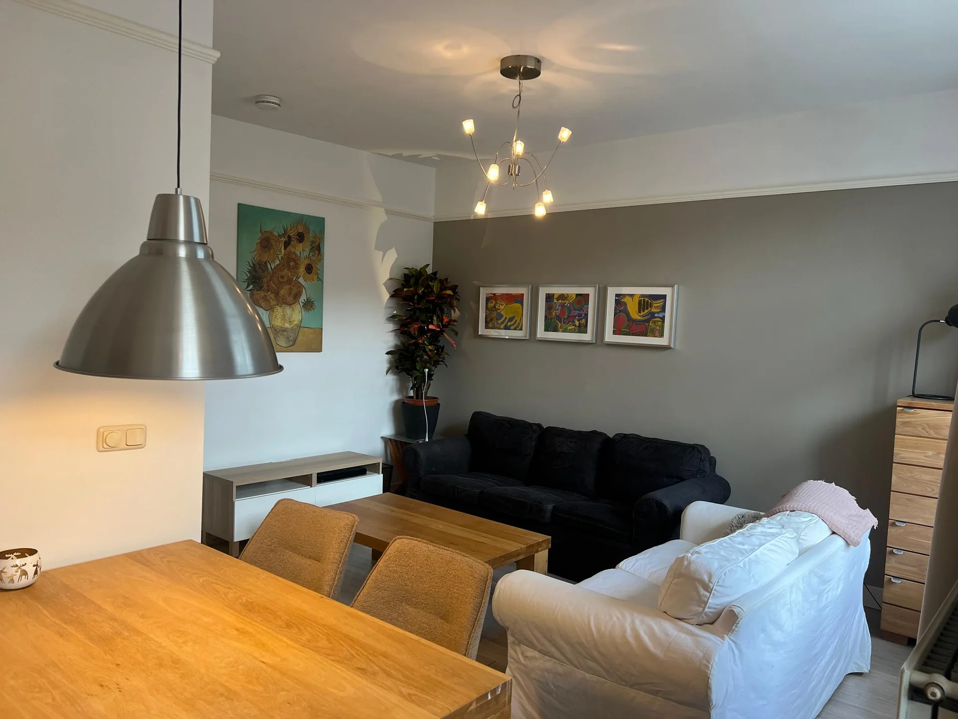 geblurde versie van de foto als achtergrond