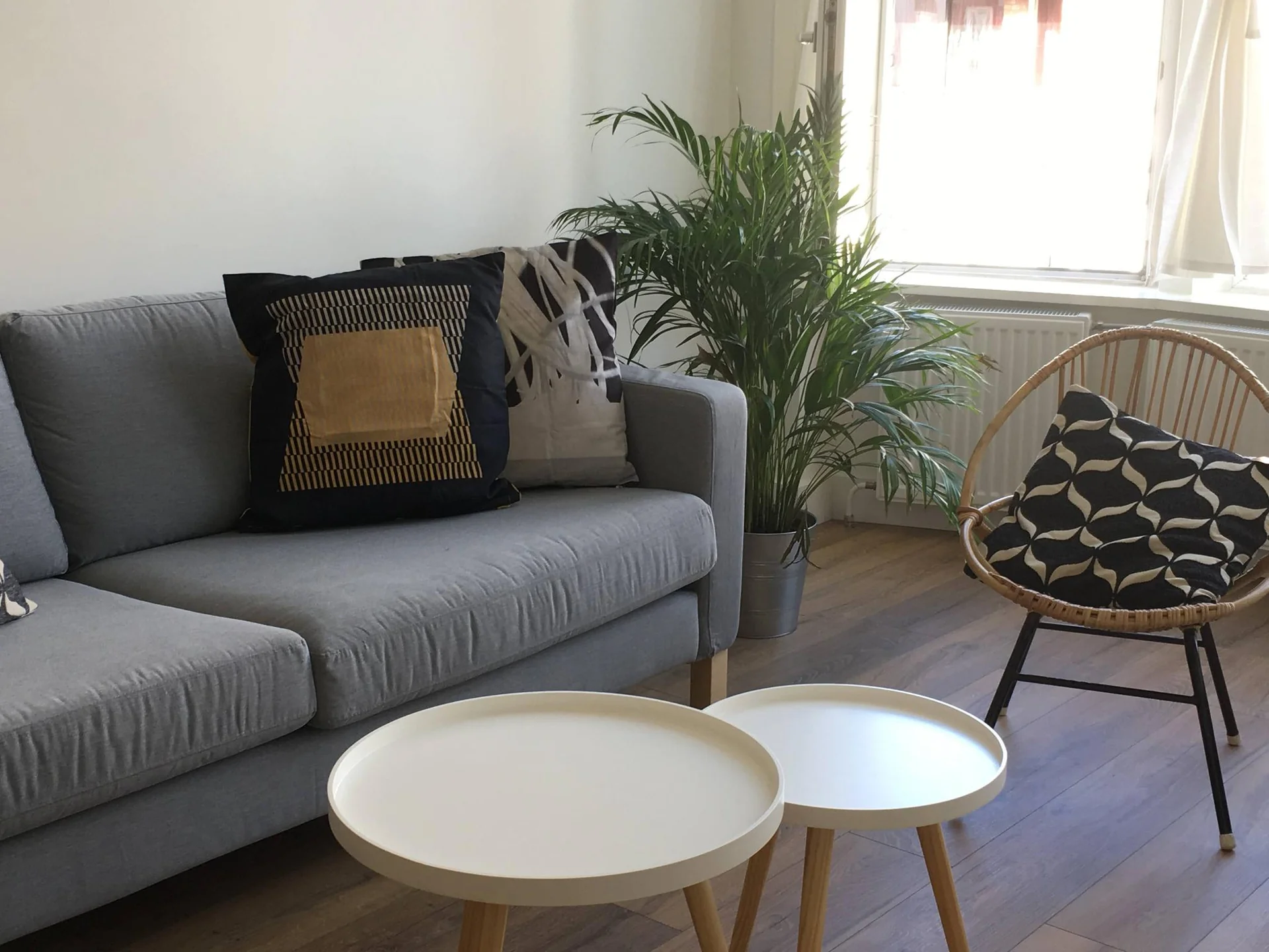 geblurde versie van de foto als achtergrond