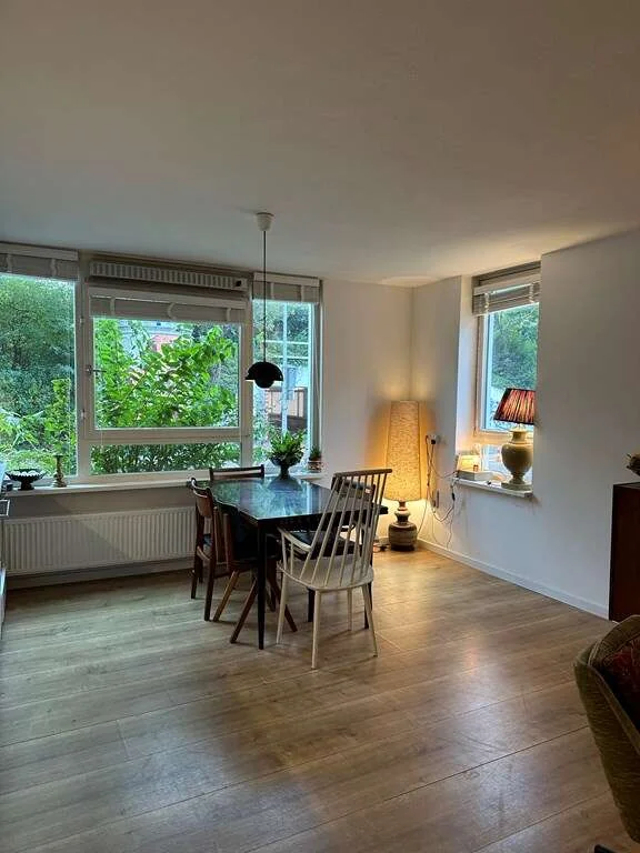 geblurde versie van de foto als achtergrond