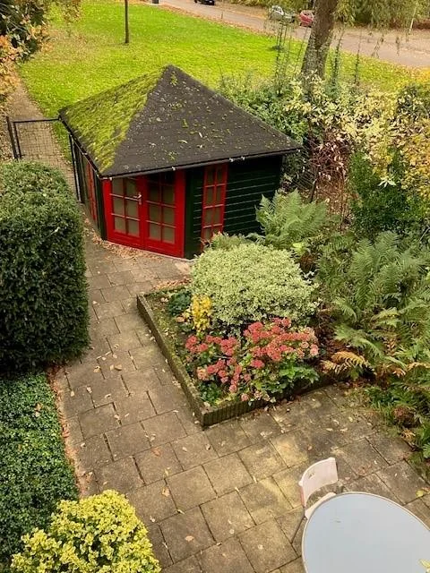 geblurde versie van de foto als achtergrond