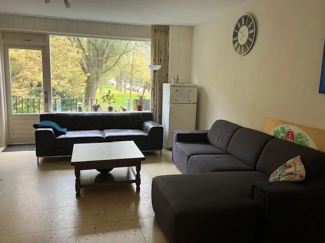 geblurde versie van de foto als achtergrond