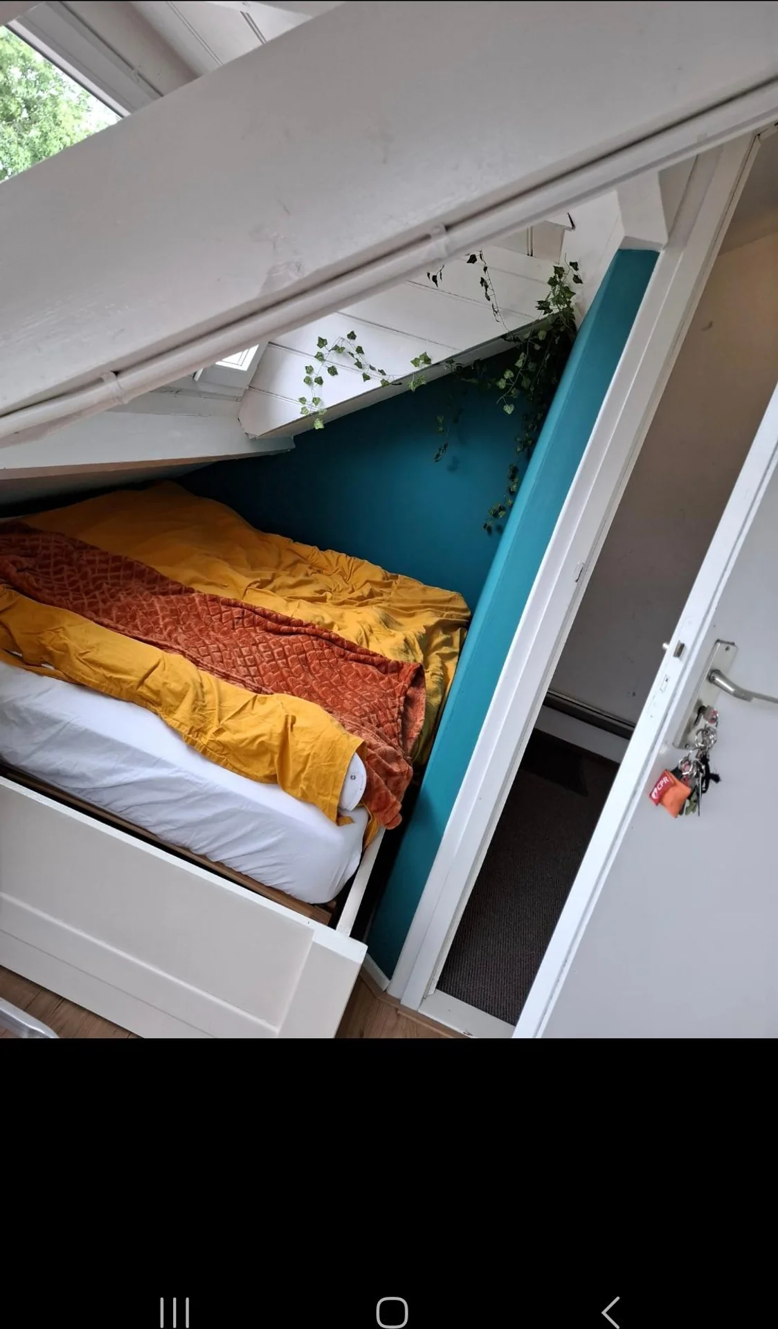 geblurde versie van de foto als achtergrond