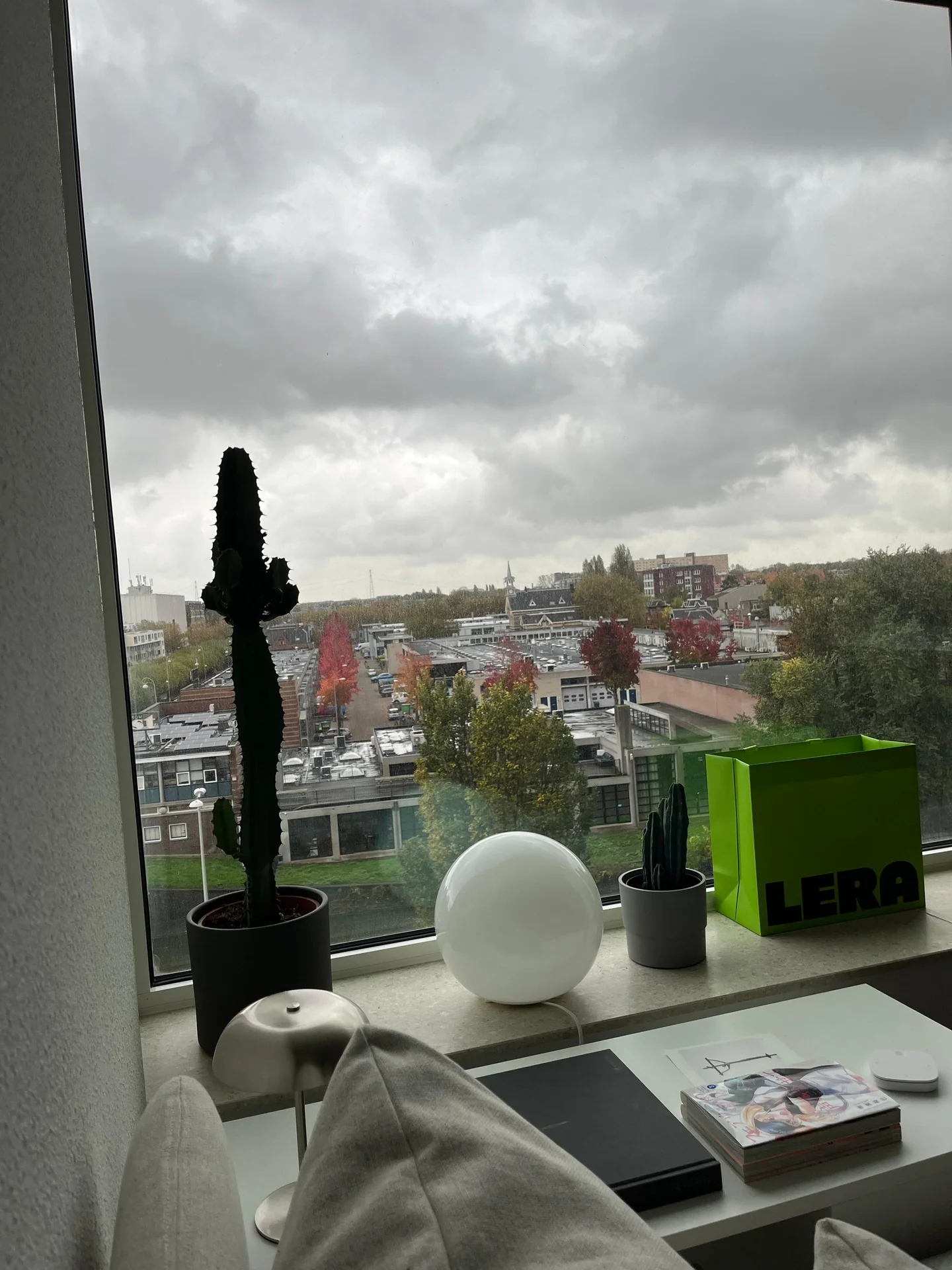 geblurde versie van de foto als achtergrond