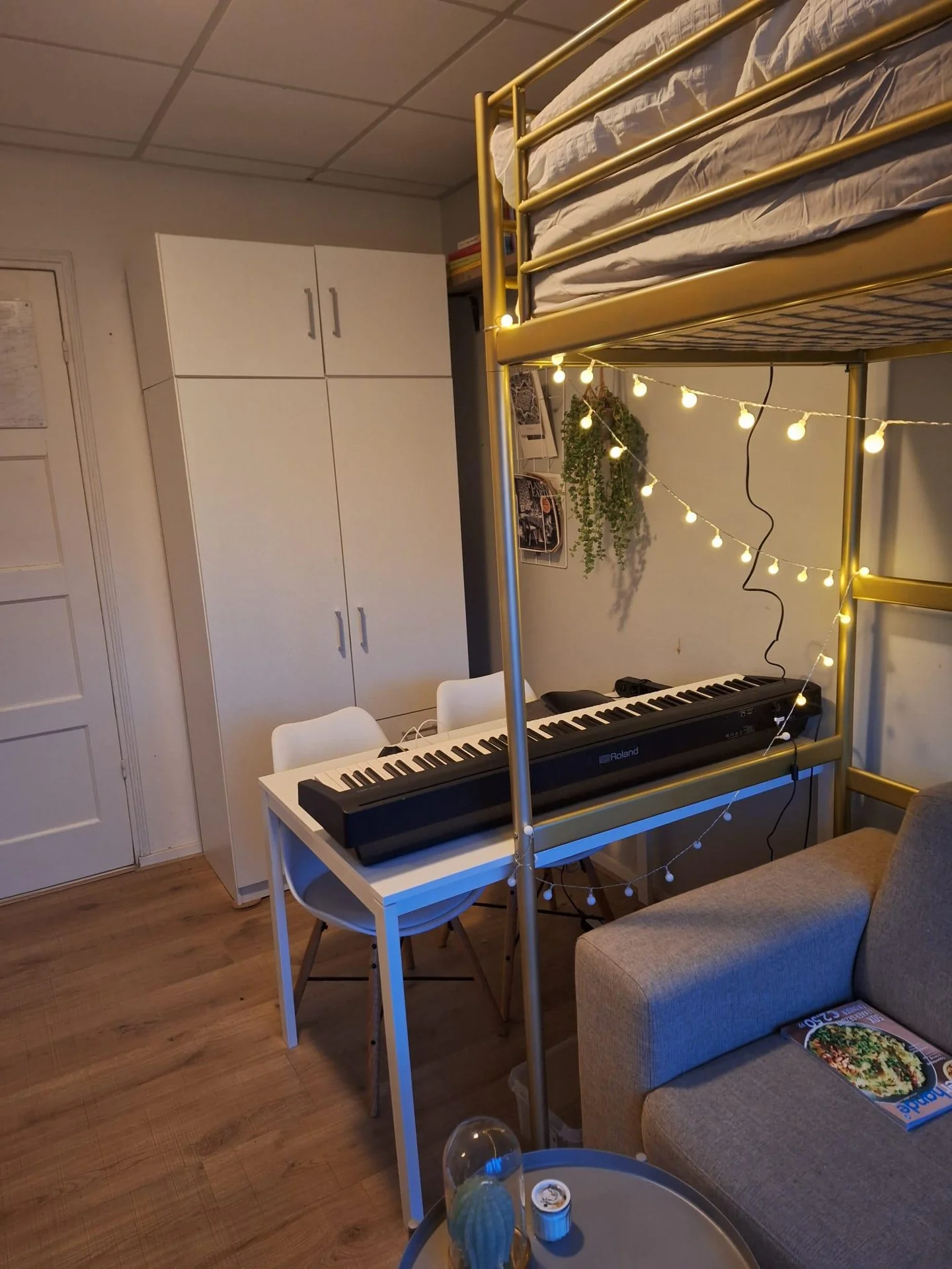 geblurde versie van de foto als achtergrond