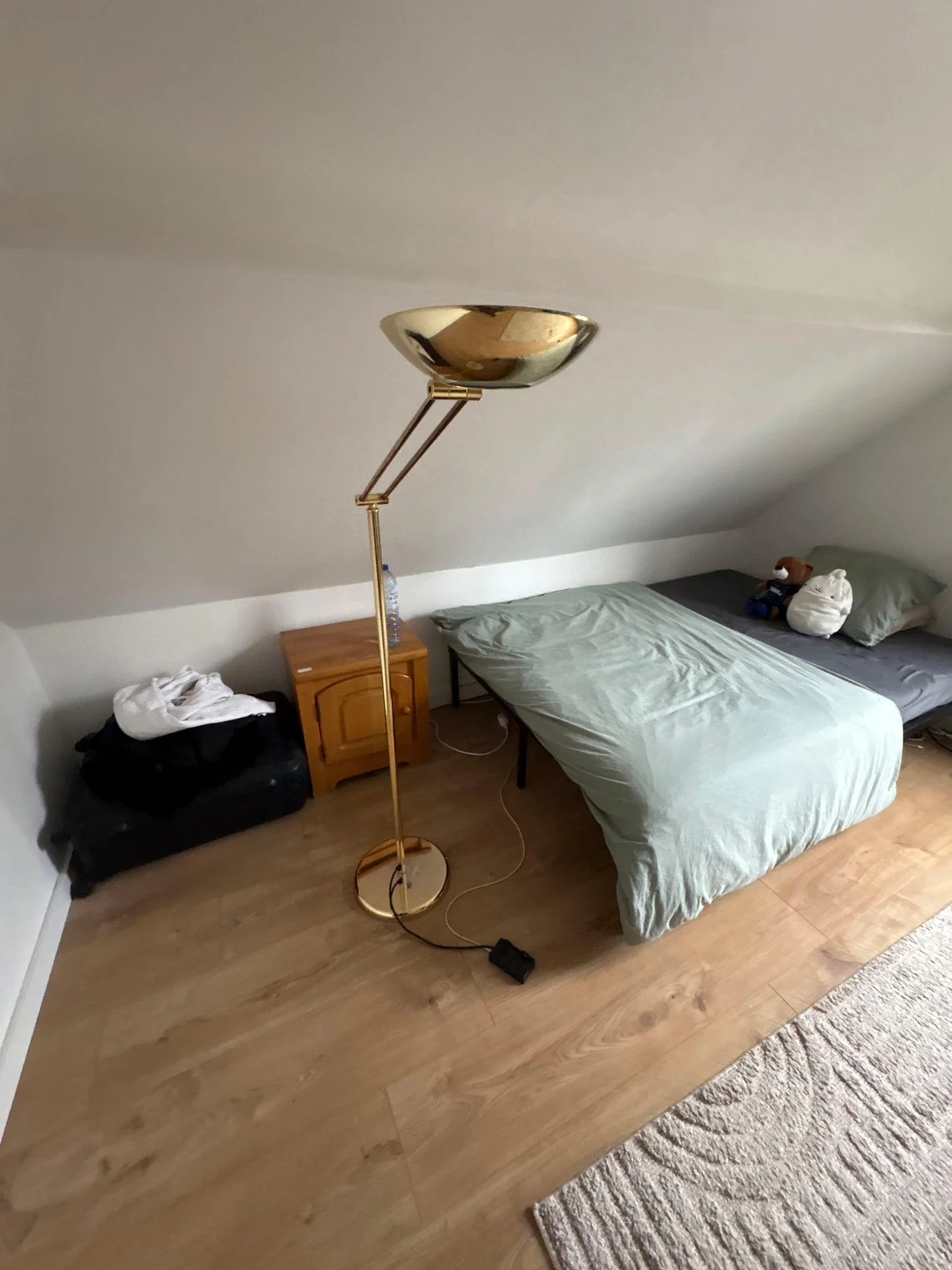 geblurde versie van de foto als achtergrond