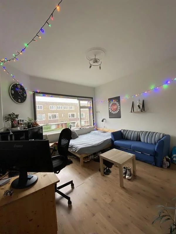 geblurde versie van de foto als achtergrond