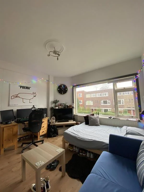 geblurde versie van de foto als achtergrond