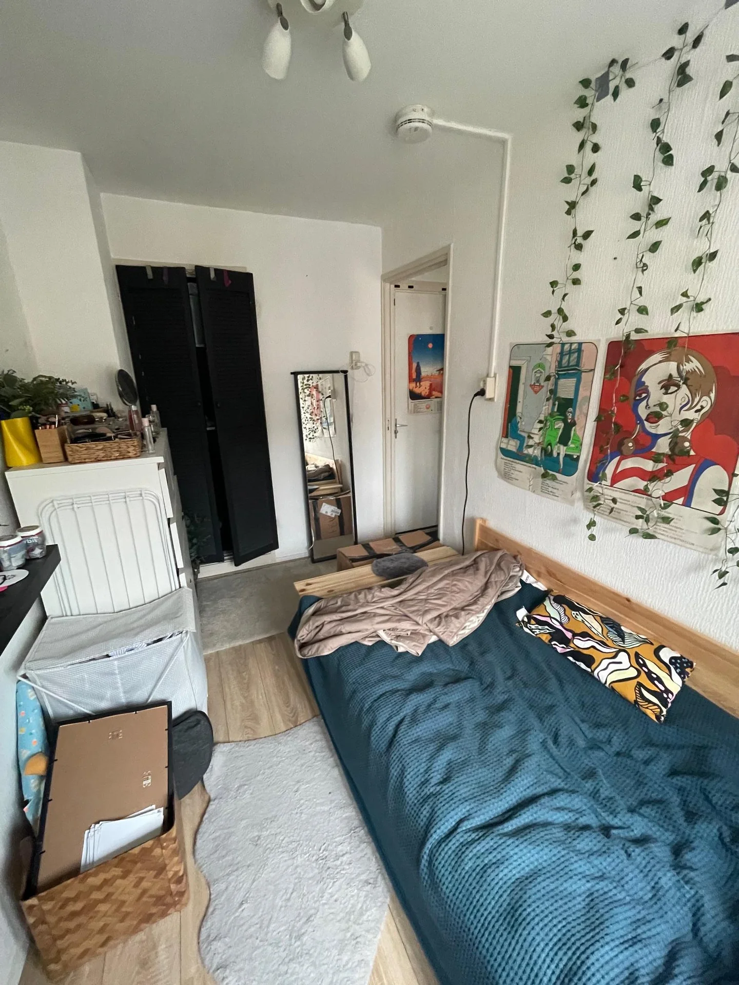 geblurde versie van de foto als achtergrond